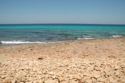 Taucheira, Port Port
Date:
Category: Greek
Institution:
Place of discovery: Taucheira-Arsinoe
Collection: Livius