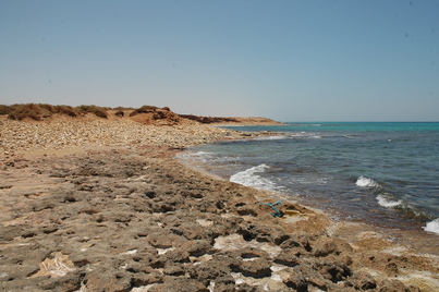 Taucheira, Port Port
Date:
Category: Greek
Institution:
Place of discovery: Taucheira-Arsinoe
Collection: Livius