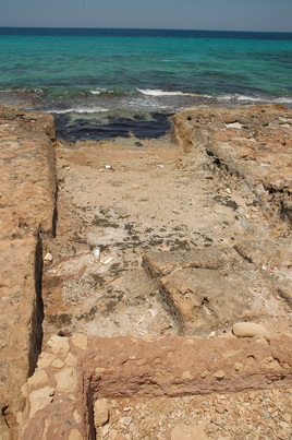 Taucheira, Port Port
Date:
Category: Greek
Institution:
Place of discovery: Taucheira-Arsinoe
Collection: Livius
