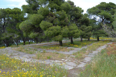 Temple of Poseidon, Hermione
