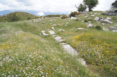 Stoa