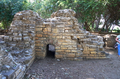Curia
