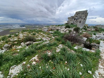 Temple remains