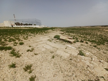 Carthago-Theveste road (35.56231, 8.44807)