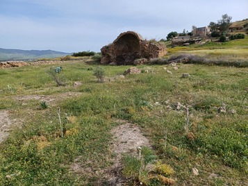 Market Basilica apse
