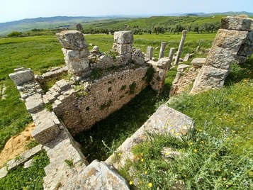 Sanctuary of Minerva (2)