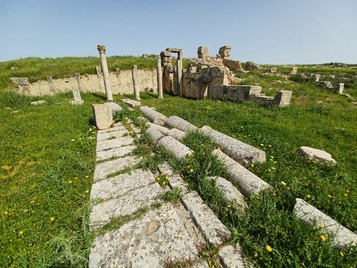 Sanctuary of Minerva (2)