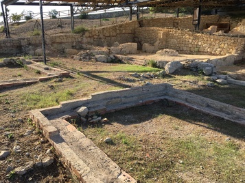 Domus