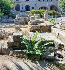 Temple of Aphrodite