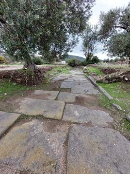 Smintheion Sacred Road