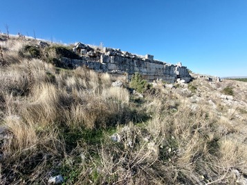 Retaining wall & seating area remains