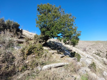 Blaundos theatre remains