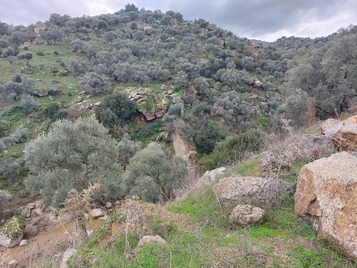 Akçaova Aqueduct