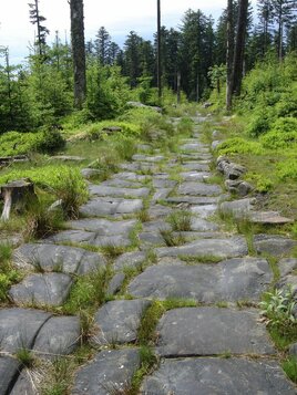 Voie Romaine près de Raon-lès-Leau Voie Romaine près de Raon-lès-Leau (Roman Road close to Raon-lès-Leau)