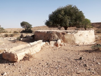 Roman structure