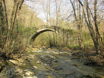Ancient Bridge