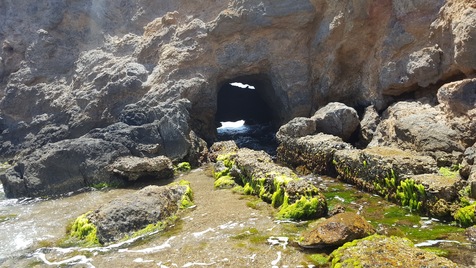 Las Salinas