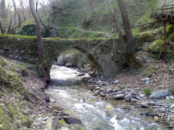 Roman Bridge