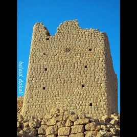 Fortified farm