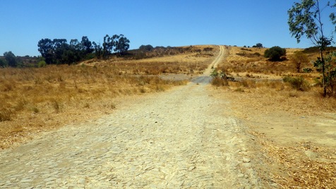 Roman Rd