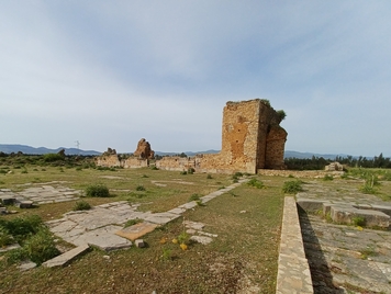'Forum' Basilica