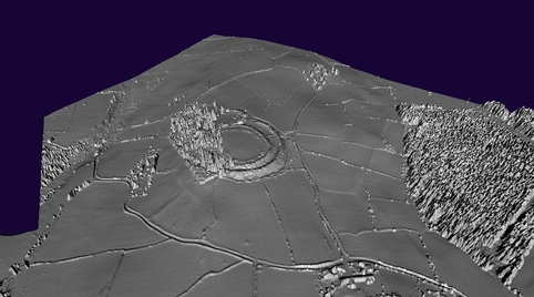 Waun Iron Age Settlement