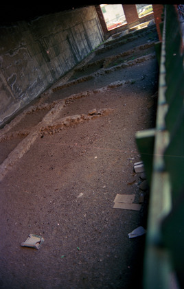 Alba Docilia (Albisola, 1984)