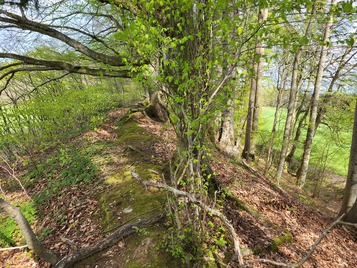 südlicher Wall