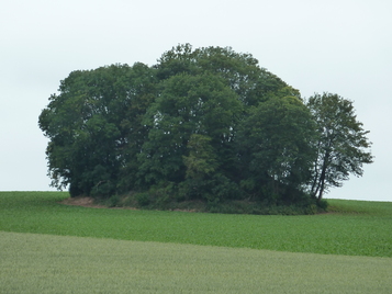Braives-Tumulus van Avennes