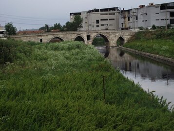 Roman Bridge