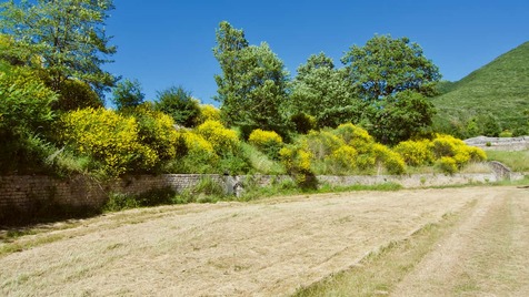 Amphitheatre, Carsulae Photo June 2010.