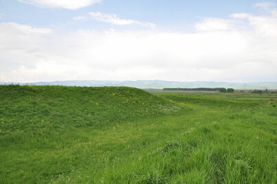 Castra of Boroșneu Mare