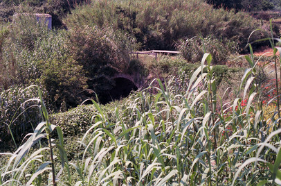 Celle Ligure Roman bridge (1990)