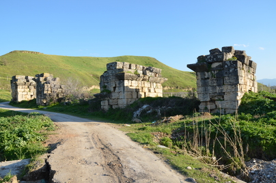 Roman bridge over the Asopos River