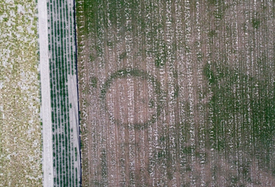 Den Heksennest_drone_002