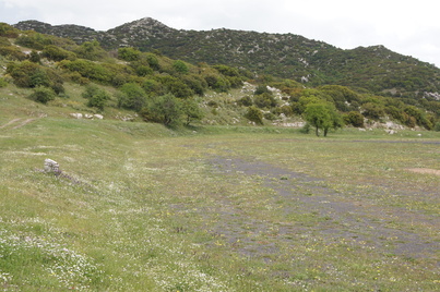 stadium