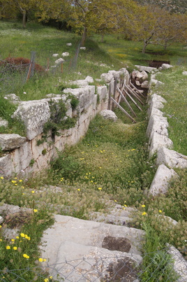 Lykaion
