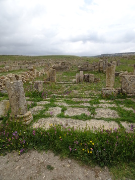 Madaurius