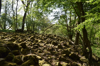 Römische Wallanlage Hochthürmerberg Reste eines Steinwalls