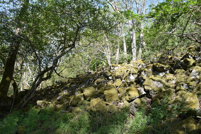 Römische Wallanlagen Hochthürmerberg Reste einer Steinmauer
