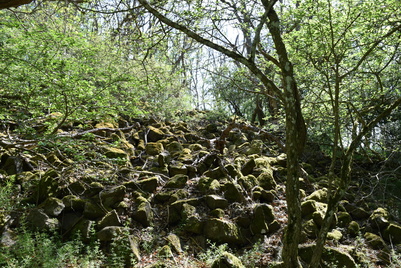 Römische Wallanlagen Hochthürmerberg Steinreste einer Mauer