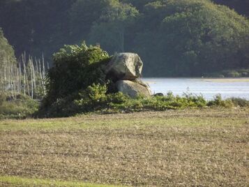 Vester Aaby Dyssekammer