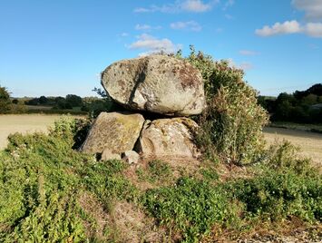 Vester Aaby Dyssekammer