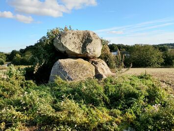Vester Aaby Dyssekammer