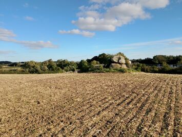 Vester Aaby Dyssekammer