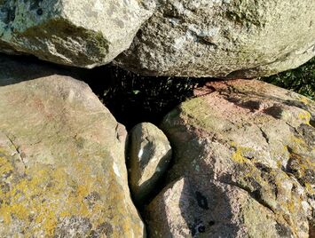 Vester Aaby Dyssekammer