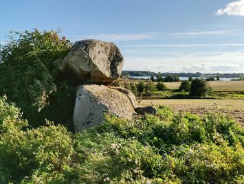 Vester Aaby Dyssekammer