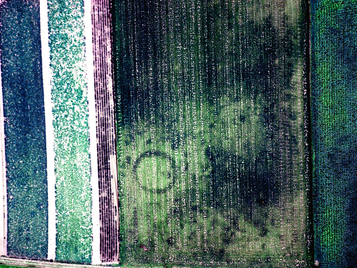 Den Heksennest_drone_001