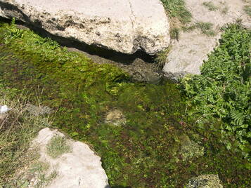 Eflatunpınar - Hittite sanctuary