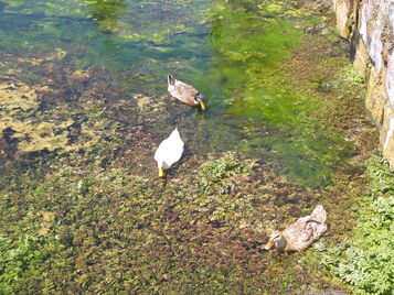 Eflatunpınar - Hittite sanctuary
